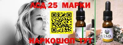 индика Малгобек