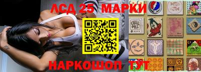 индика Малгобек
