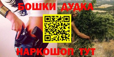 индика Малгобек