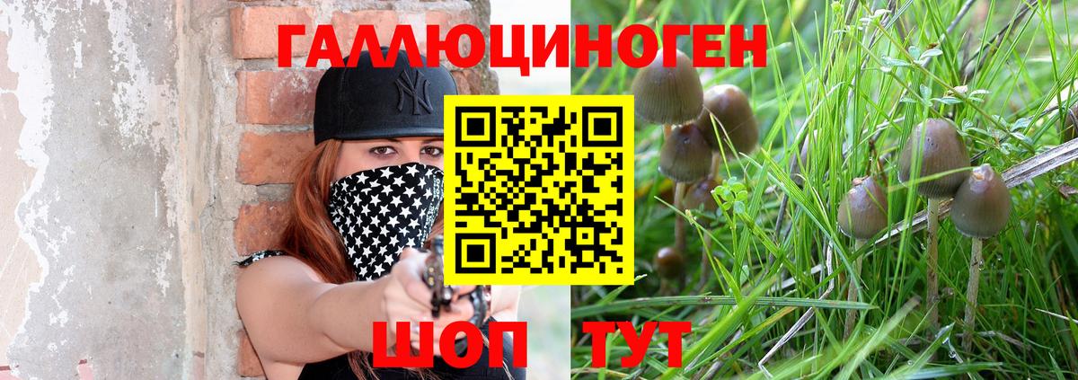закладки  Вход с VPN  Томск  Галлюциногенные грибы Cubensis 