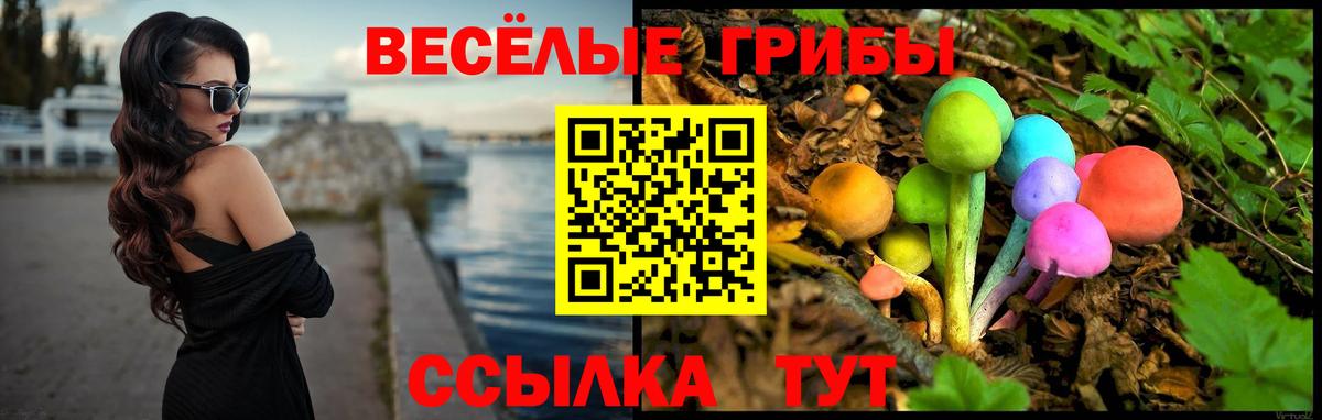 Галлюциногенные грибы Cubensis Томск